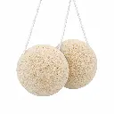 Konjac 1.webp
